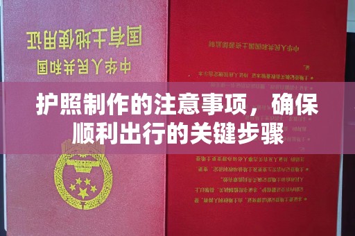 新化护照制作的注意事项，确保顺利出行的关键步骤